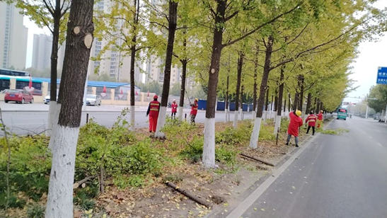 【潜江best365足球官网置业集团】抢抓时节 精心养护 打造最美“银杏大道”
